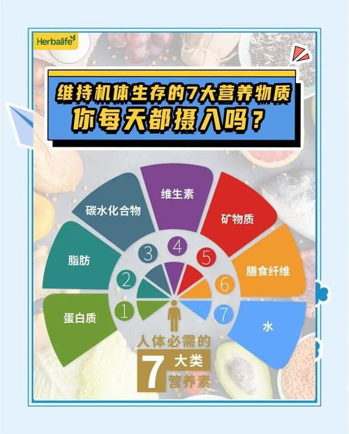 七大营养素,该从哪些食物里找?