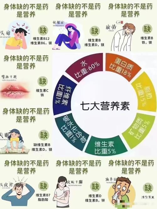七大营养素,该从哪些食物里找?
