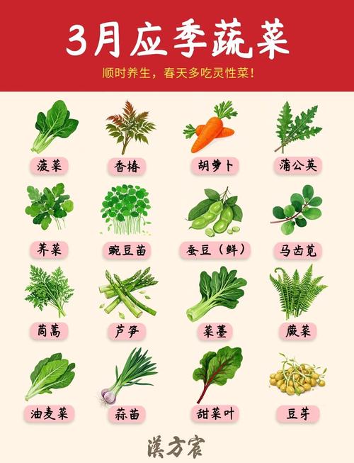 小三阳患者日常饮食该注意什么?