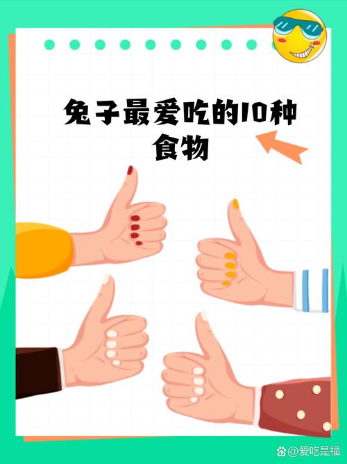 小兔子最爱吃什么食物?