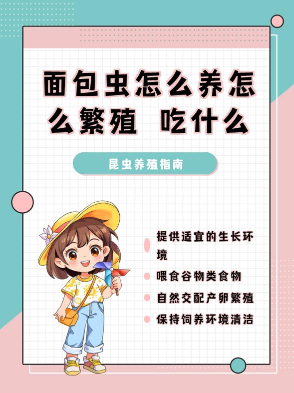 食物久放生虫如何快速处理?