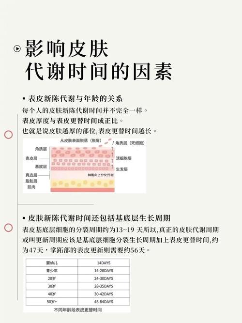 皮肤新陈代谢快,脸上会有哪些表现?