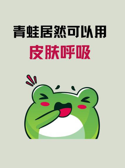 青蛙皮肤仅是保护屏障吗?