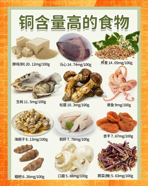 含铁铜食物有哪些?