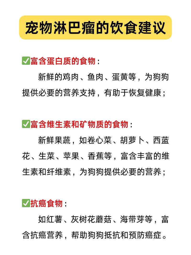 吃哪些食物能辅助改善淋巴结健康?