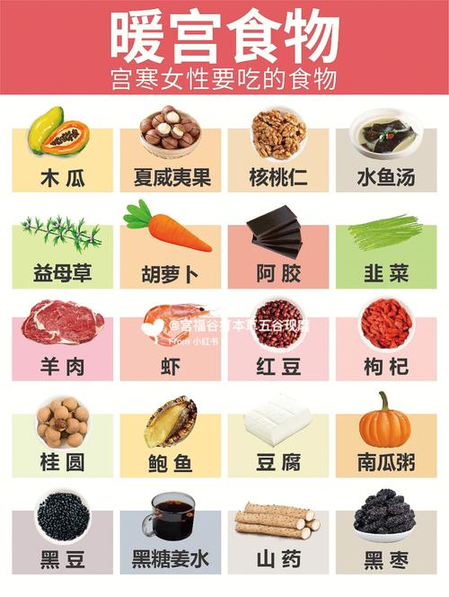 经期暖宫吃什么食物最有效?