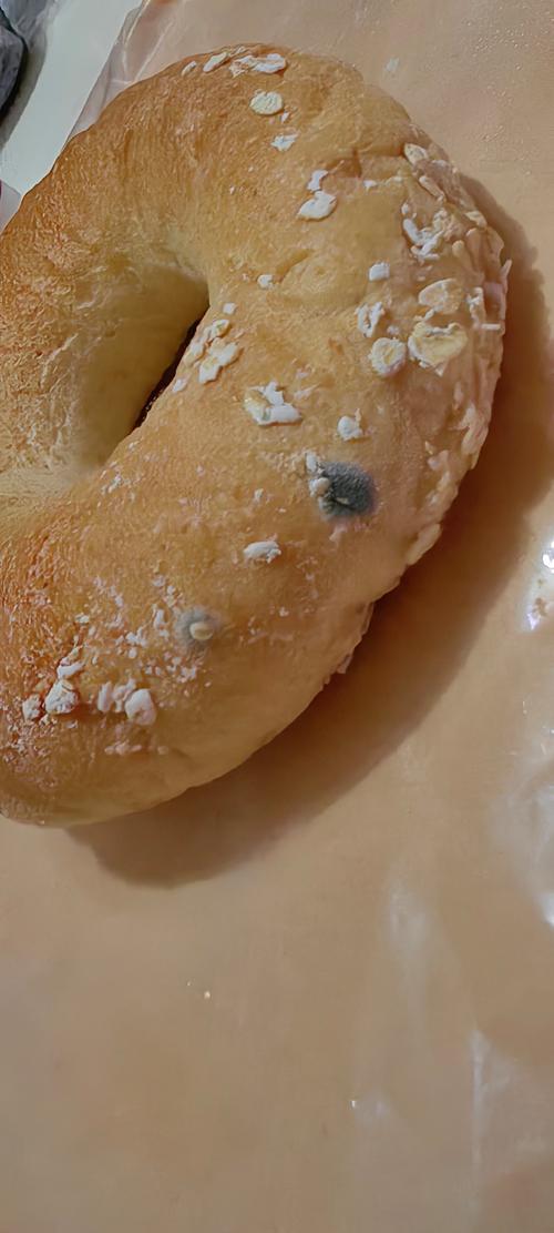 食物长绿毛是变质还是污染?