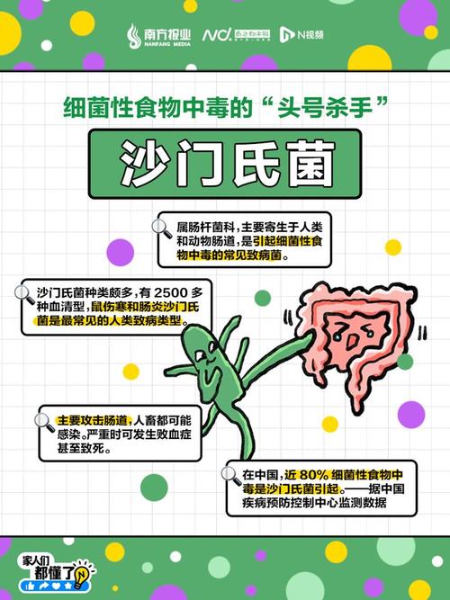 细菌性食物中毒有何典型症状与预防措施?
