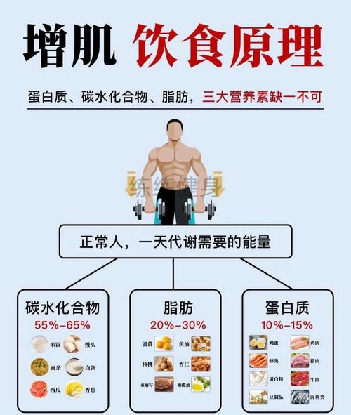高蛋白增肌食物,哪些才是增肌首选?