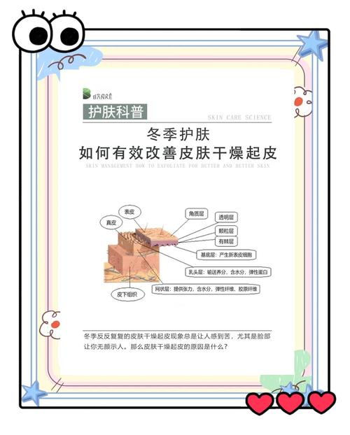 干皮冬季如何保湿不紧绷?
