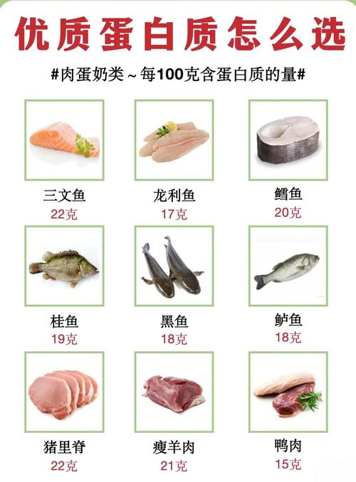 哪些食物蛋白质含量高?