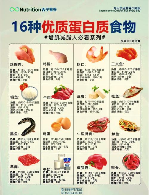 哪些食物蛋白质含量高?