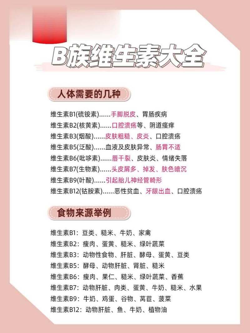 哪些食物富含B族维生素?