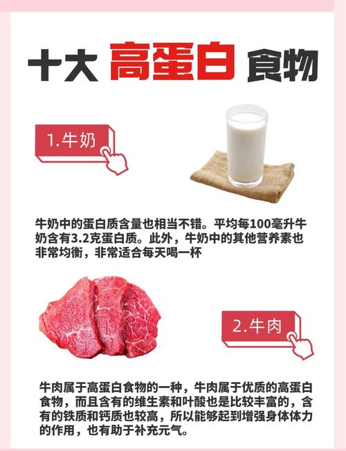 哪些食物蛋白质含量高?
