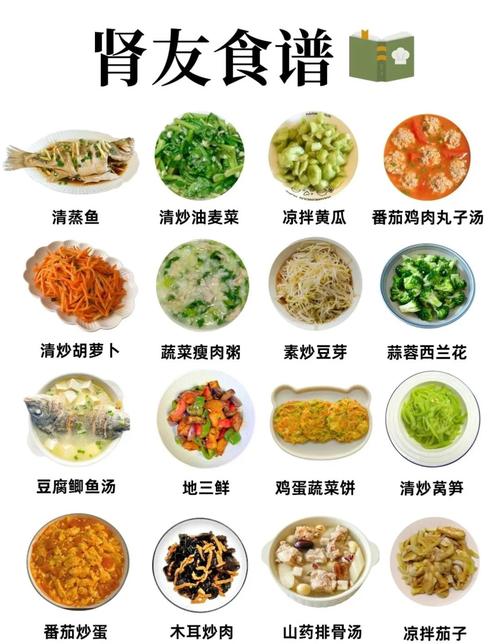 哪些食物最养肾?日常护肾怎么吃?