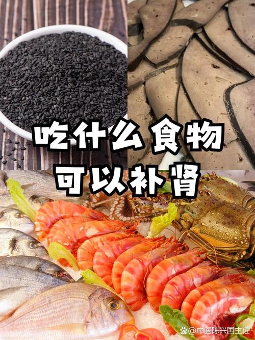 哪些食物最养肾?日常护肾怎么吃?