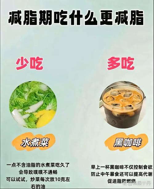 蛋白质多脂肪少,哪些食物最靠谱?
