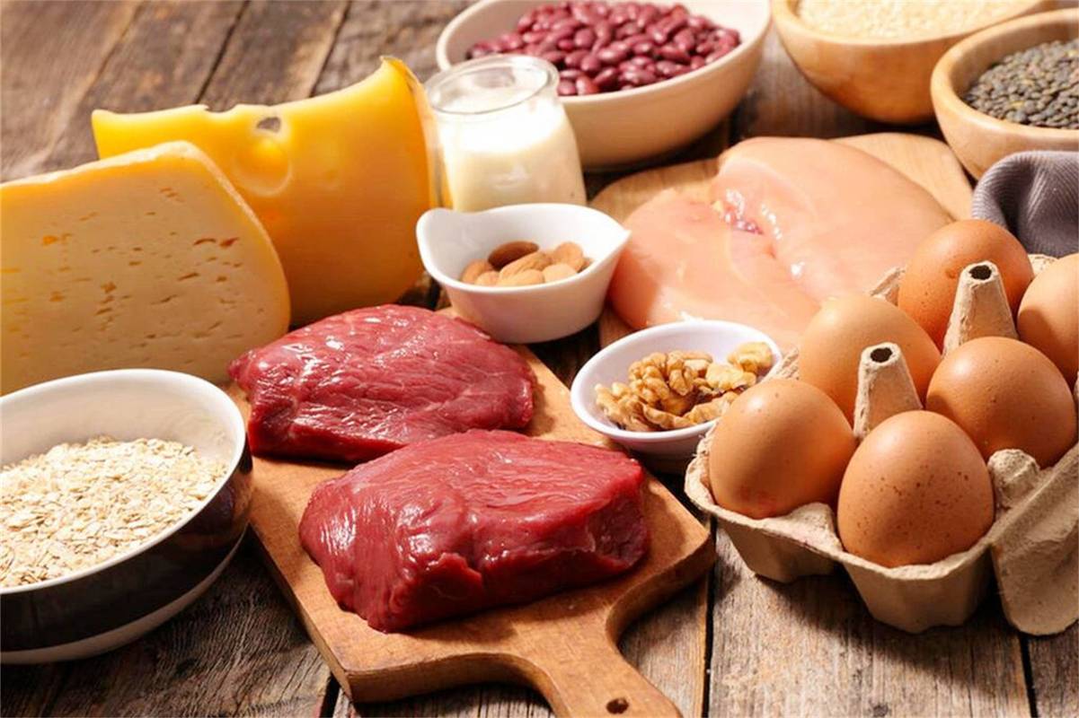 哪些食物富含蛋白质?