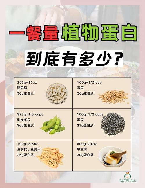 哪些食物富含蛋白质?