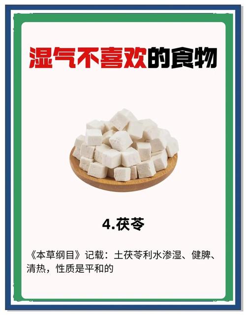 湿毒不能吃什么食物好