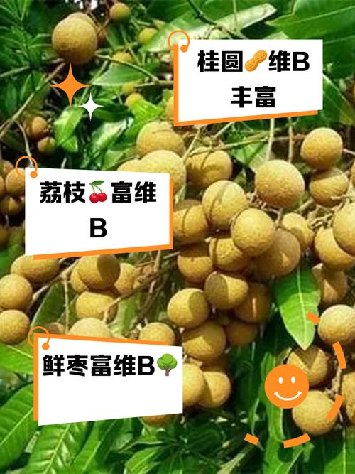 哪些食物水果富含维生素B1?