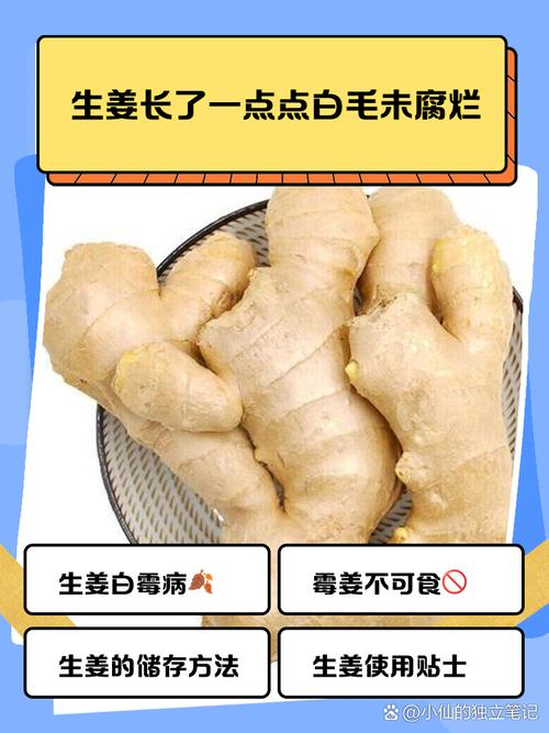 食物长白毛还能吃吗?