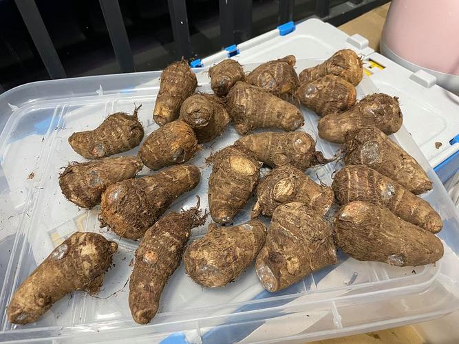 食物长白毛还能吃吗?