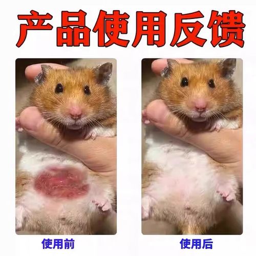 仓鼠得了皮肤病怎么办