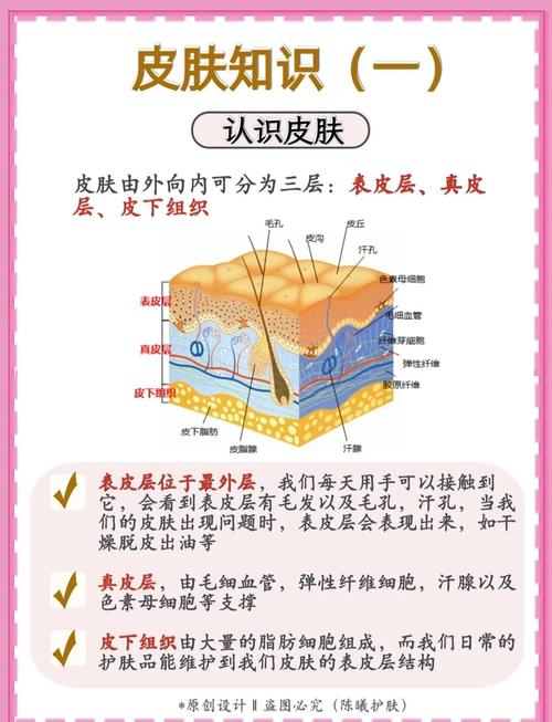皮肤生理指标系统分析