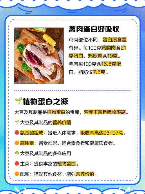 哪些食物含蛋白质较高