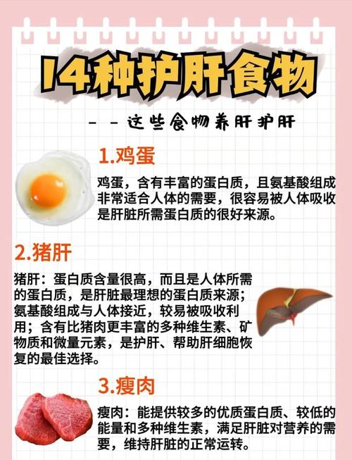 护肝养胃的食物有哪些