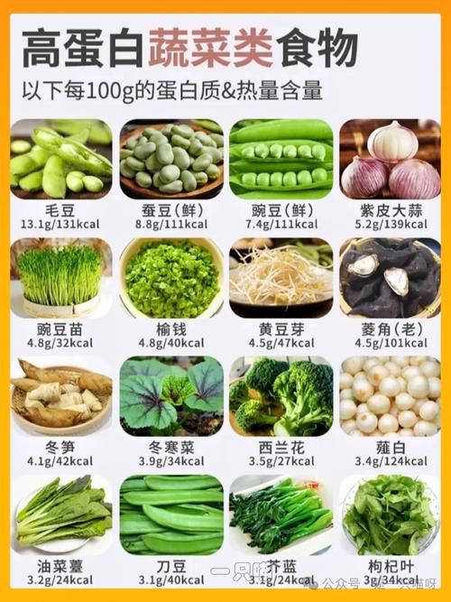 哪些食物富含蛋白质?