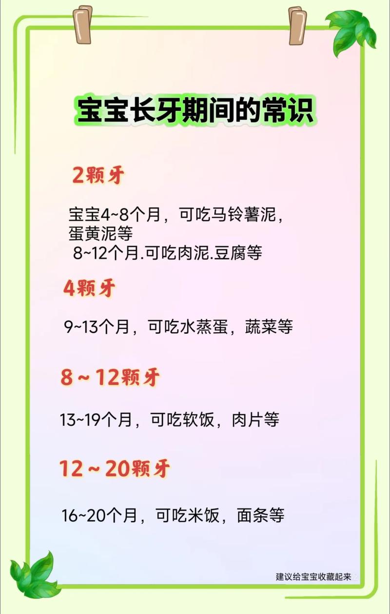 宝宝出牙吃什么食物好