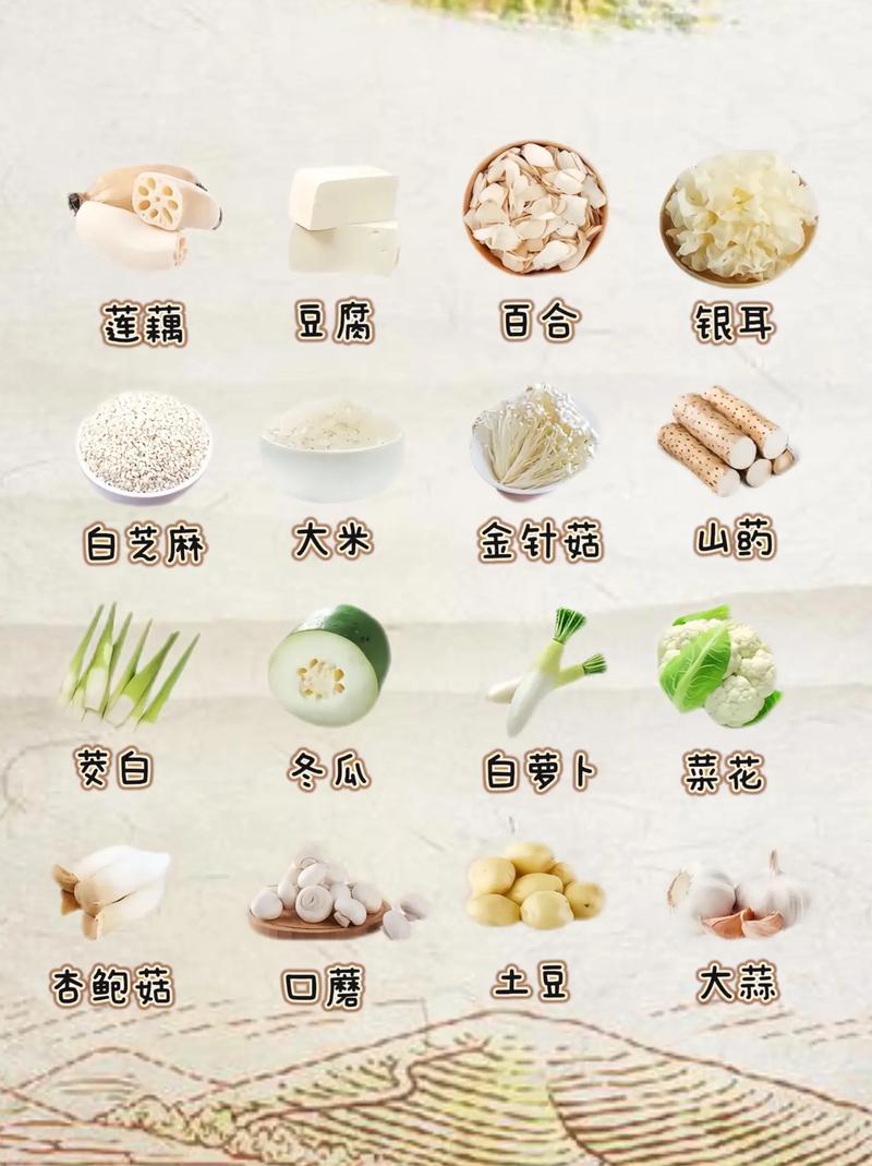 补肾清肺的食物有哪些