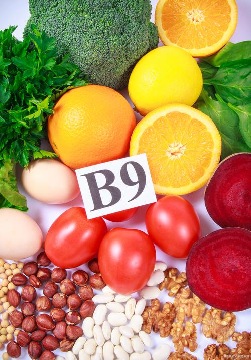 维生素B族富含哪些常见食物?