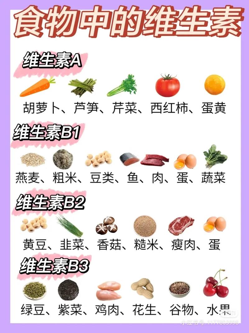 维生素B族富含哪些常见食物?