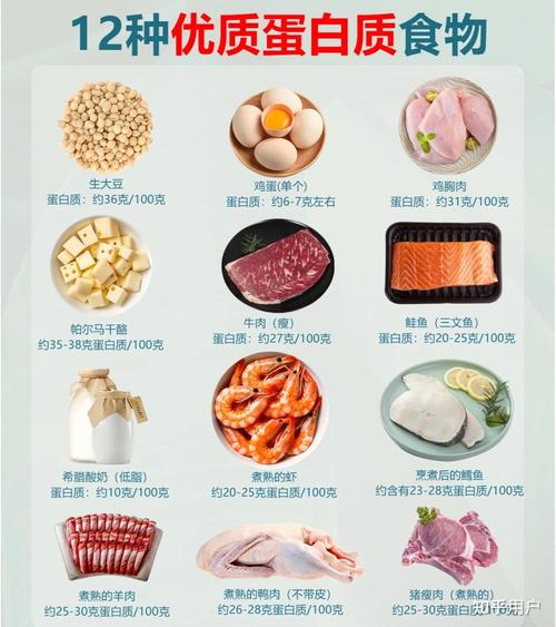 吃什么是高蛋白的食物