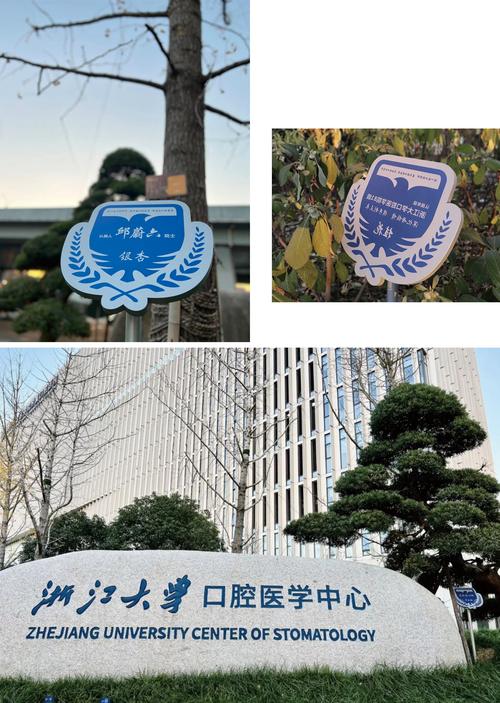 浙大口腔医院实力如何?