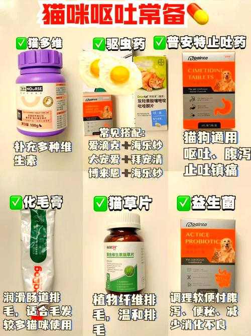 食物不干净呕吐怎么办