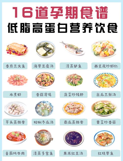 哪种食物含蛋白质最高?