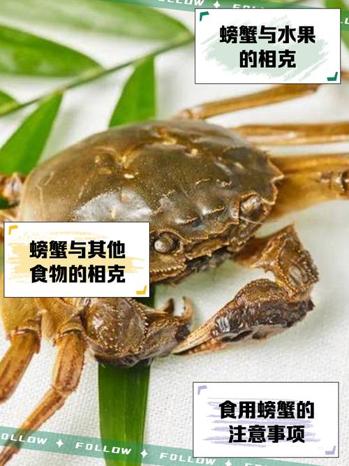 梭子蟹与哪些食物同食会相克?