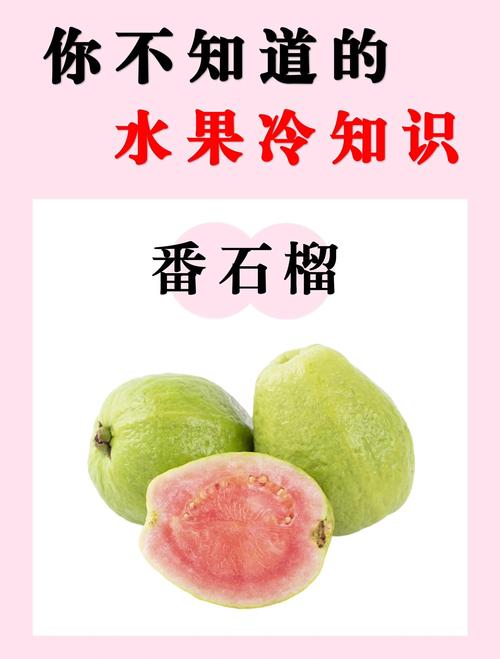 番石榴和什么食物同吃会相克?