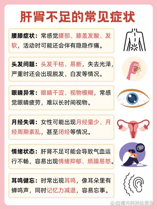 肝不好吃哪些食物调理