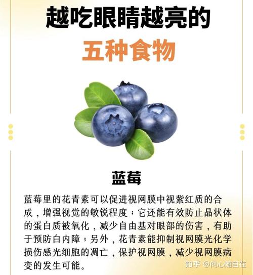 护眼食物有哪些?