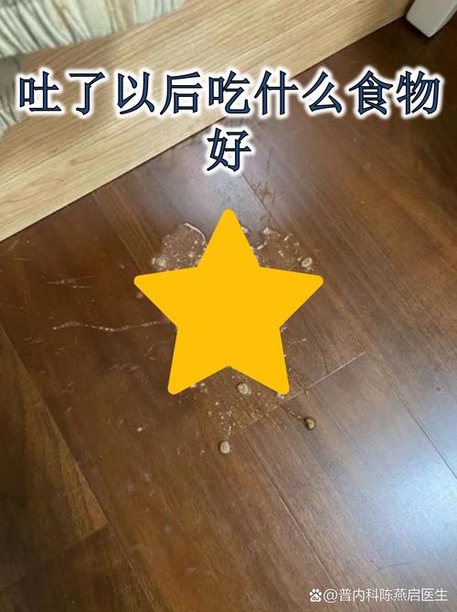 着凉呕吐后,吃什么食物能缓解不适?