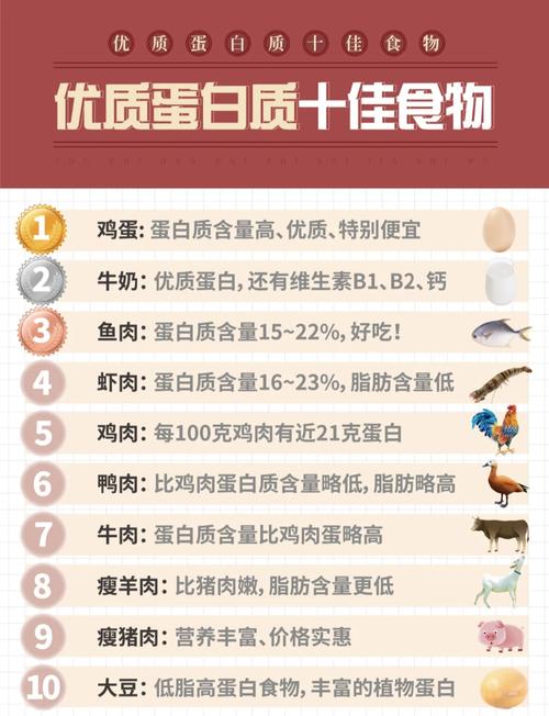 不含蛋白的食物有哪些?